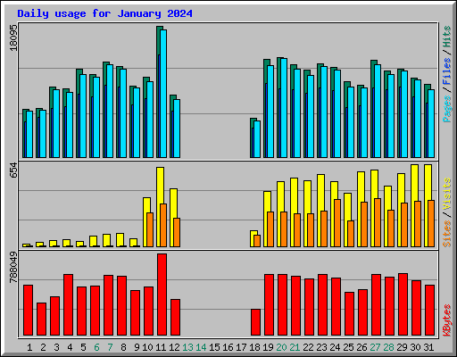 Daily usage for January 2024