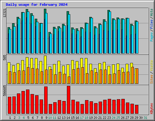 Daily usage for February 2024