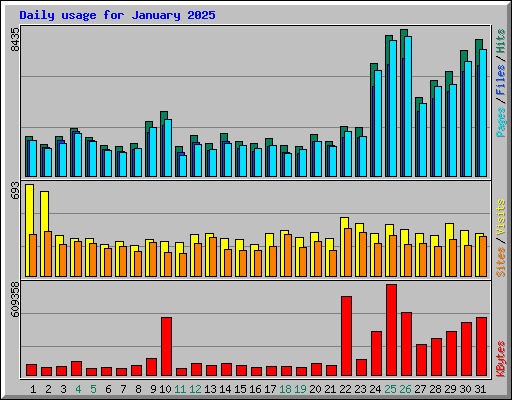 Daily usage for January 2025