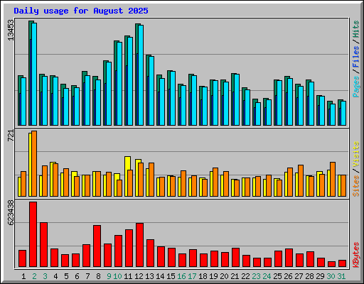 Daily usage for August 2025