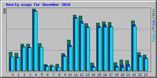 Hourly usage for December 2010