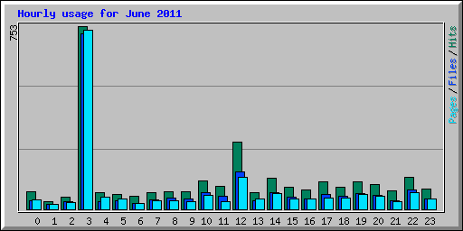 Hourly usage for June 2011