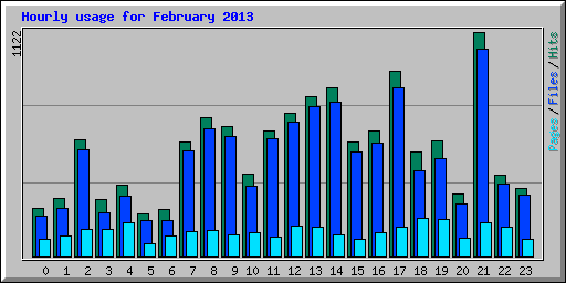 Hourly usage for February 2013