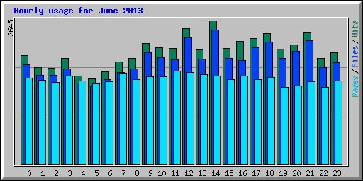 Hourly usage for June 2013