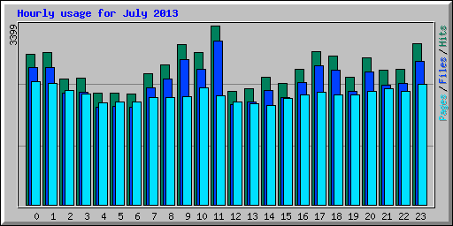 Hourly usage for July 2013
