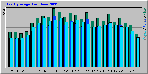 Hourly usage for June 2023