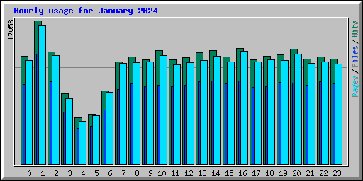 Hourly usage for January 2024