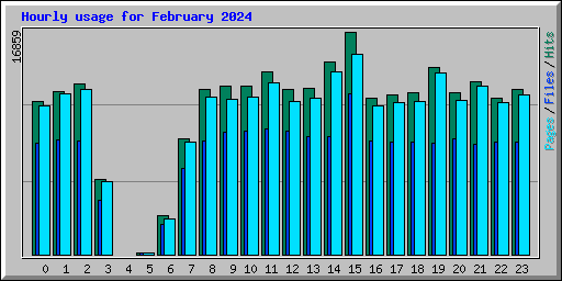 Hourly usage for February 2024