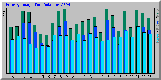Hourly usage for October 2024