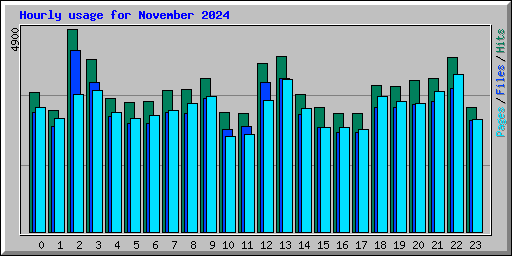 Hourly usage for November 2024