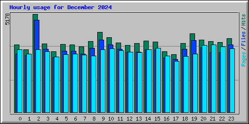 Hourly usage for December 2024
