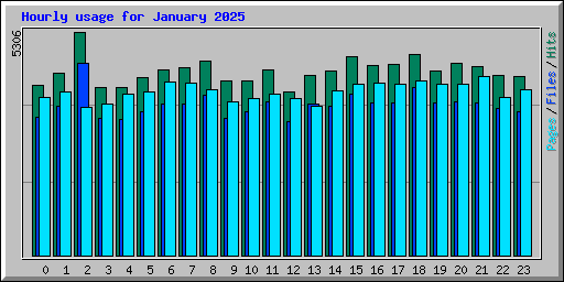 Hourly usage for January 2025