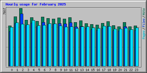 Hourly usage for February 2025