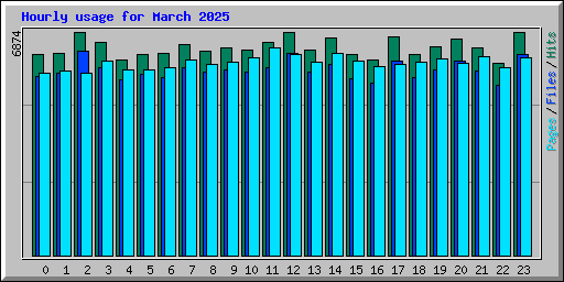 Hourly usage for March 2025