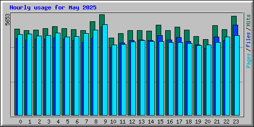 Hourly usage for May 2025