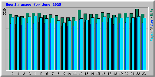 Hourly usage for June 2025