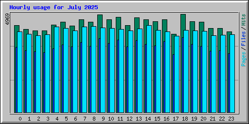 Hourly usage for July 2025