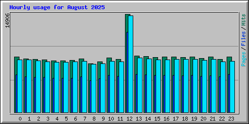 Hourly usage for August 2025