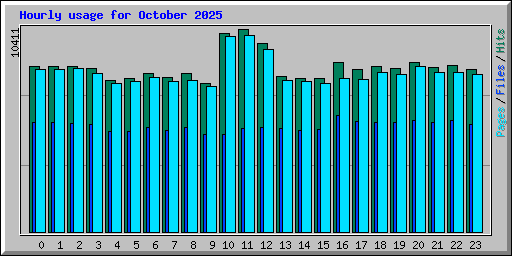 Hourly usage for October 2025